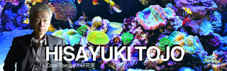 banner2